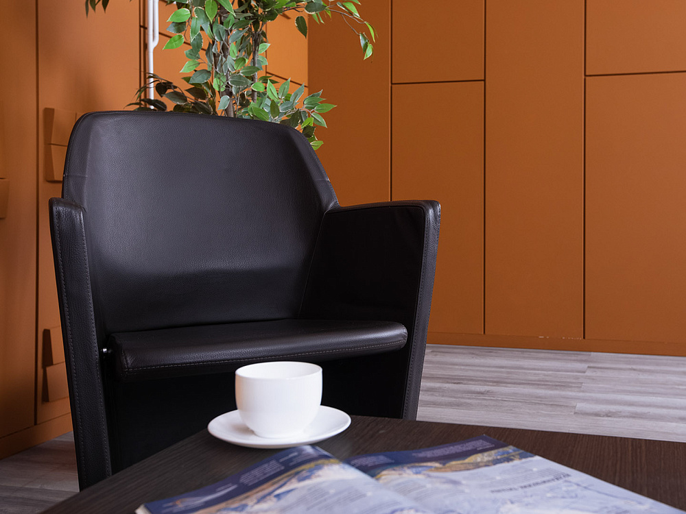 Мягкое кресло  Кожа Коричневый Prima  (КНКК-12035)