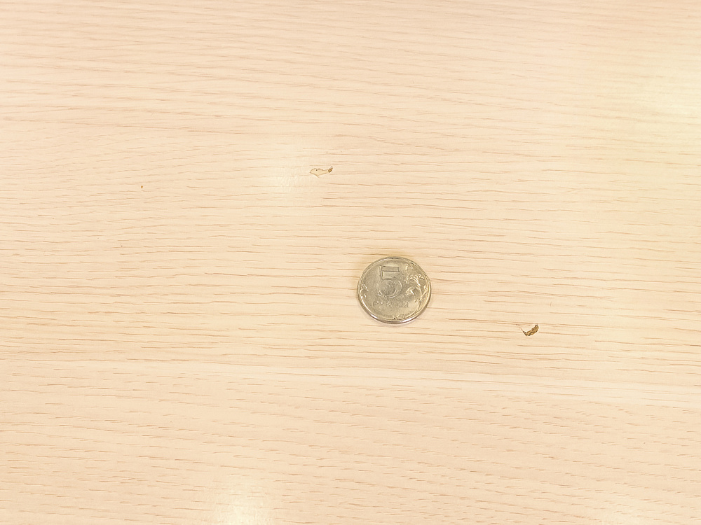 Ресепшн   ЛДСП Клен Россия  РВ-24065