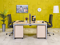 Комплект офисной мебели на 2 человека ЛДСП Зебрано Россия_ГКЗ3-290324