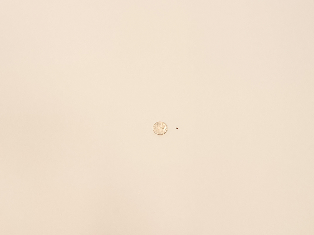 Офисный стол для переговоров Steelcase 2450x1500x720 МДФ Белый Франция_СГПБ-281223