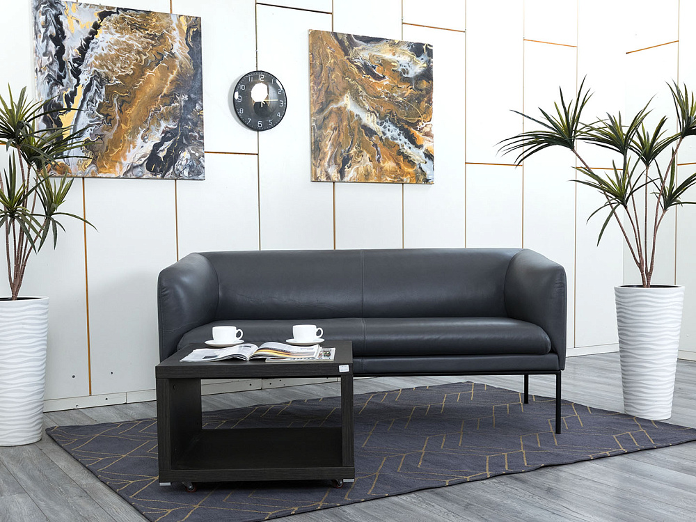 Офисный диван Liro Кожа Серый Montana Ferro  (ДНКС-20114)